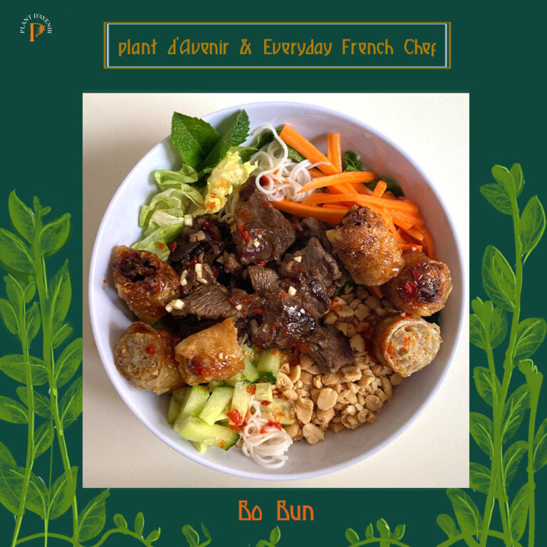 Bo Bun : Lemongrass beef and rice noodle salad bowl