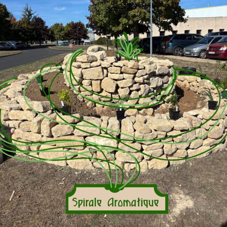 Aromatic spiral permaculture design with medicinal herbs