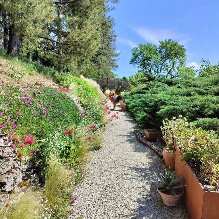 Creating a Dry Garden - The Right Plant, Right Place Approach