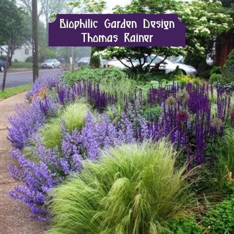 Ecological Solutions for a Sustainable Garden