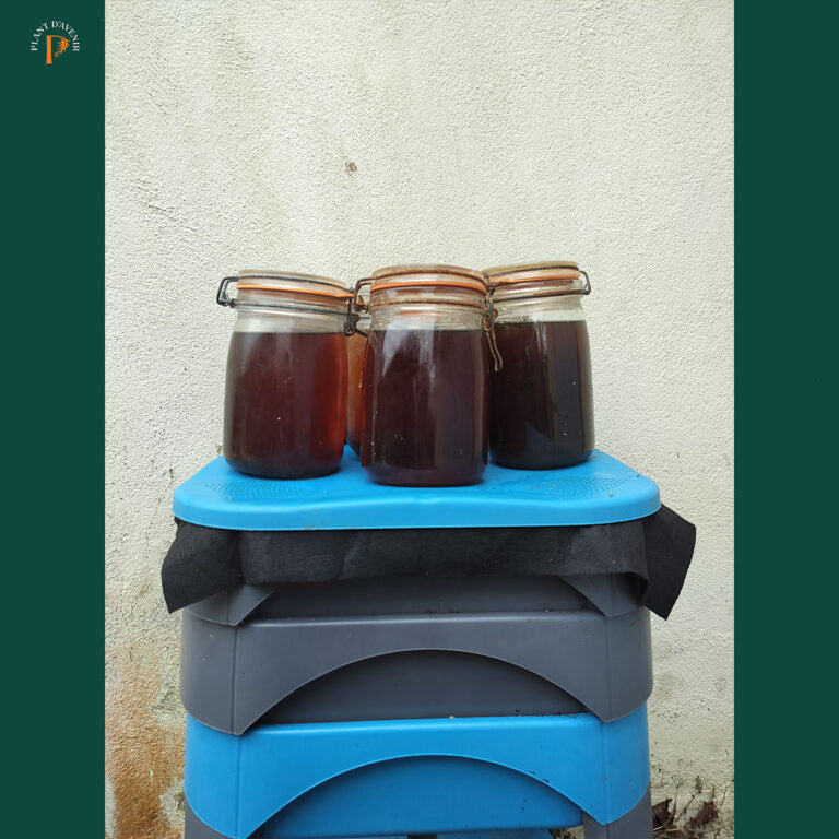 The Complete Guide to Vermicomposting