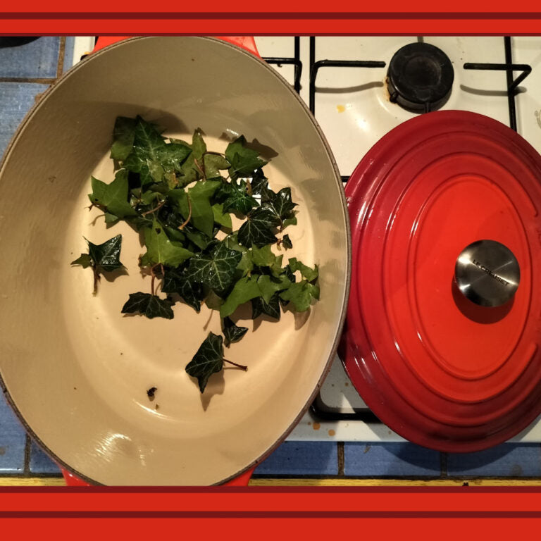 How to Make An Ivy-Based Laundry Detergent