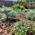 Dry Garden Kit - Pink/Grey/Lilac