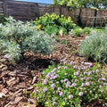 Dry Garden Kit - Pink/Grey/Lilac