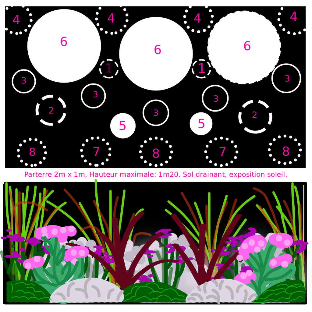 Jardin Prêt-à-Planter n°1