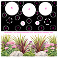 Jardin Prêt-à-Planter n°1
