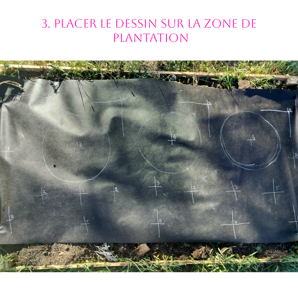 Jardin Prêt-à-Planter n°1