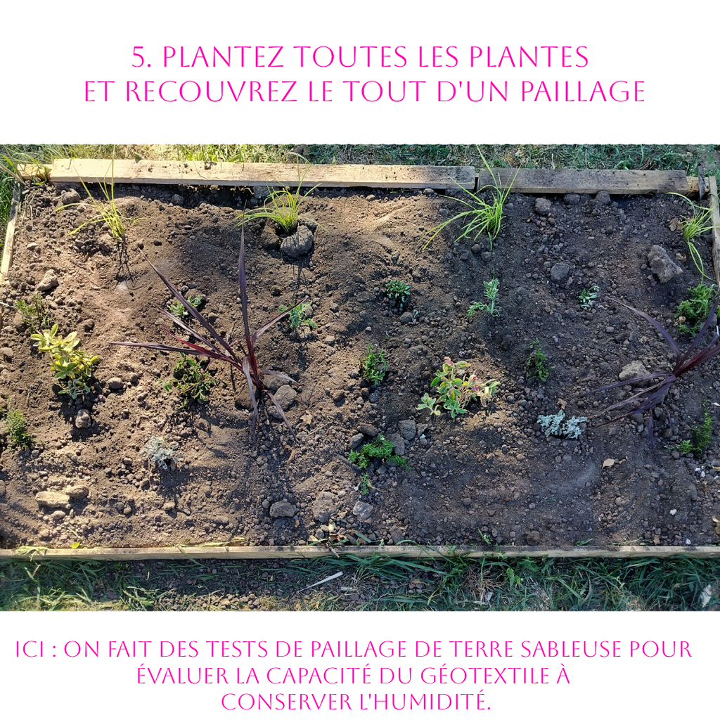 Jardin Prêt-à-Planter n°1